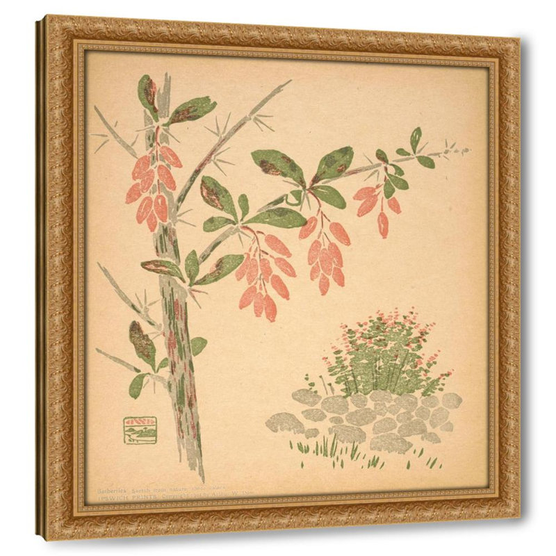 Barberries (1902)
