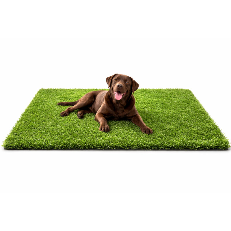 Tapis d'herbe artificielle pour chien MASSTEELGER 120 x 80 cm – Gazon artificiel réaliste à drainage rapide, idéal pour l'apprentissage de la propreté, balcon, jardin et intérieur.