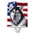 Black Alaskan Malamute