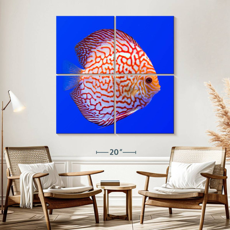 Brampt Exotic Discus Fish, 57" H x 57" W