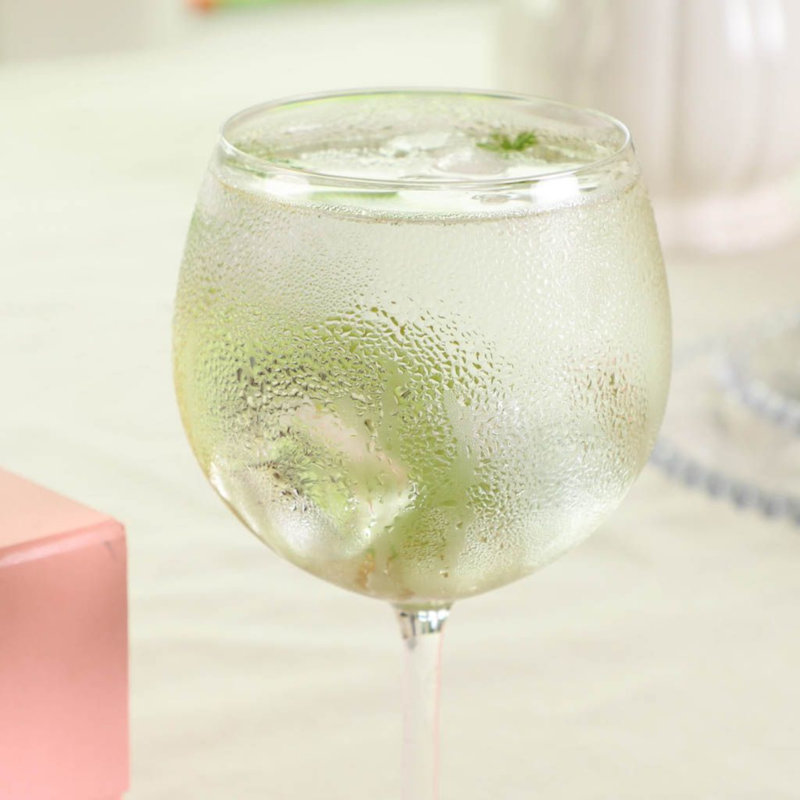 Giacoma 600ml Crystal Drinking Glass Set