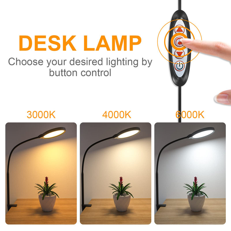 Adalye Desk Lamp, Black