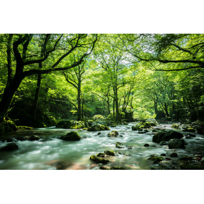 «Coan Odamiyama Valley and Bridge» par Paprikaworks - impression sur toile tendue