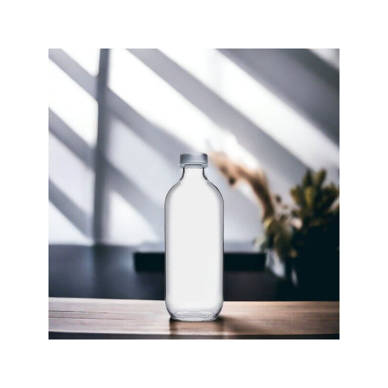 Belfry Kitchen Talreja 360ml Glass Water Bottle
