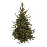 Lighted Artificial Spruce Christmas Tree