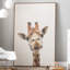 Curious Giraffe - Drawing on Canvas-1094997023