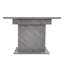 Extendable Dining Table-1331881253