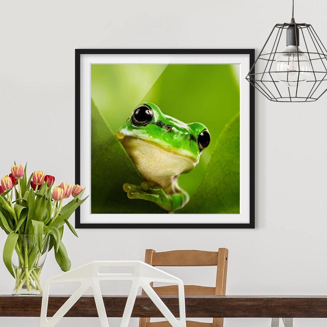 Gerahmtes Papierbild Wetterfrosch