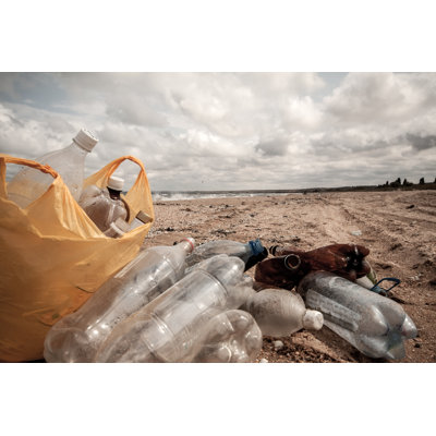 Dirty Sea Beach by Kotangens - Wrapped Canvas Print