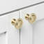 Paquet multiple de boutons de champignon-109271800
