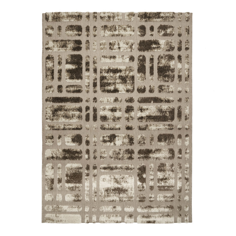 Rainsburg Rectangle Abstract Indoor / Outdoor Area Rug, Rectangle 120cm x 170cm