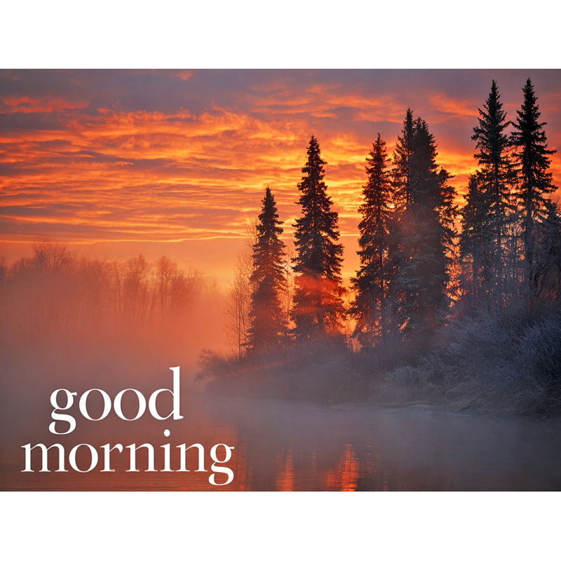 Morning Ember Pines - Art mural sur toile tendue, H 16 po x l 24 po
