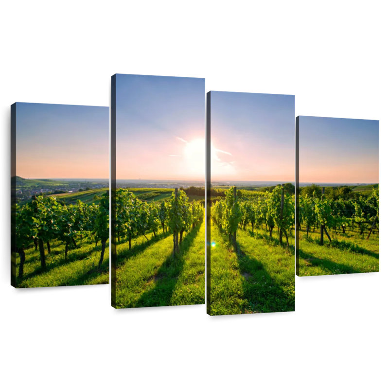 Alvord Sunny Kraichgau Vineyard, H 54 po x l 84 po