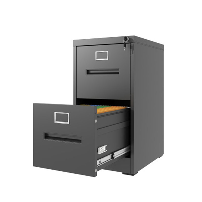 2-Drawer Lockable Metal Vertical File Cabinet for A4/Legal/Letter Size - Office & Home Use, Assembly Required, Black