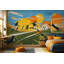 Décoration murale amovible Mid Sports-129446785-129446781