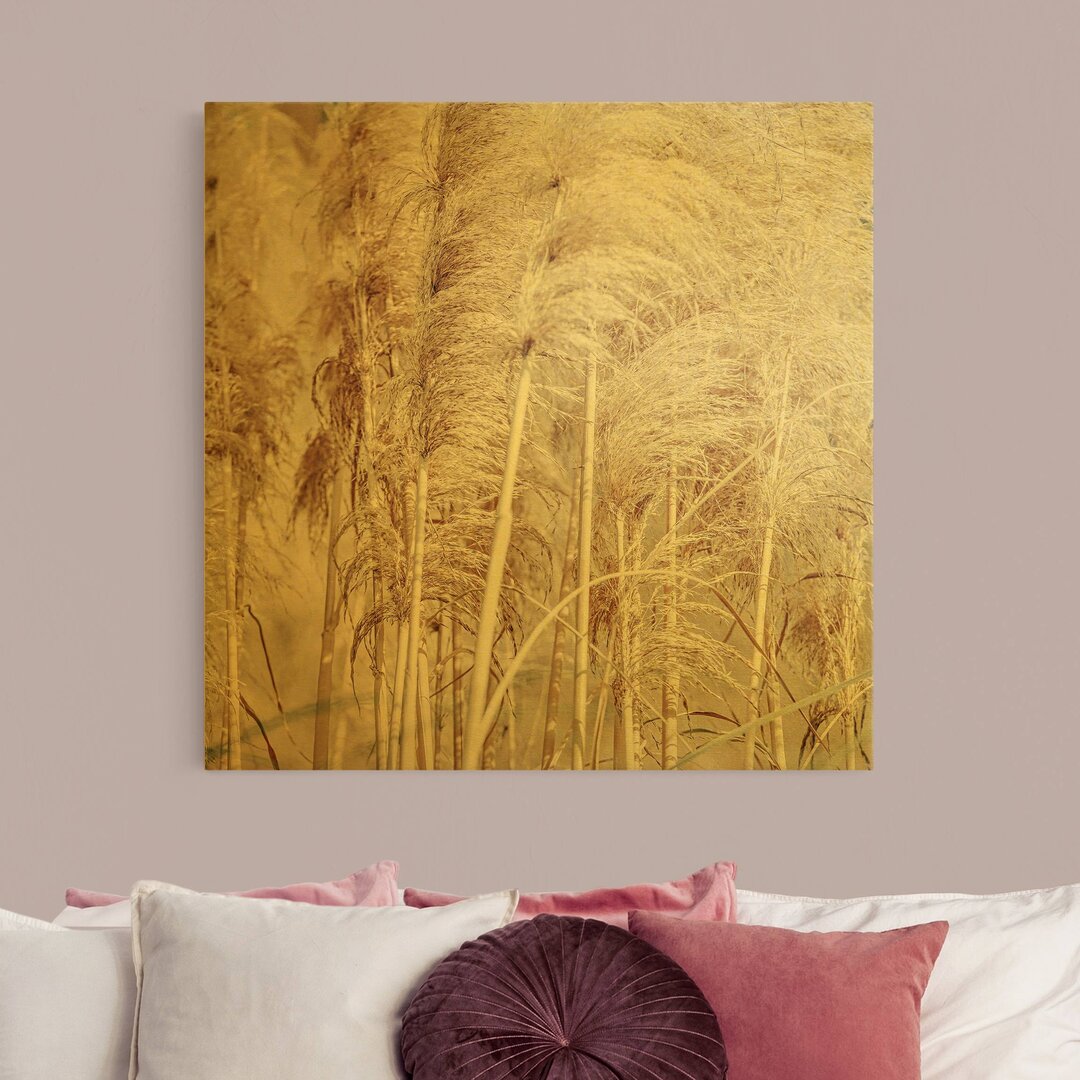 Leinwandbild Warm Pampas Grass in Summer von Monika Strigel