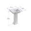 Tresham Fireclay Pedestal Bathroom Sink-2125959292-2091903166-2100164955