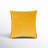 Edgar Square Cotton Velvet Throw Pillow-1117791509-1142992200-1171854563