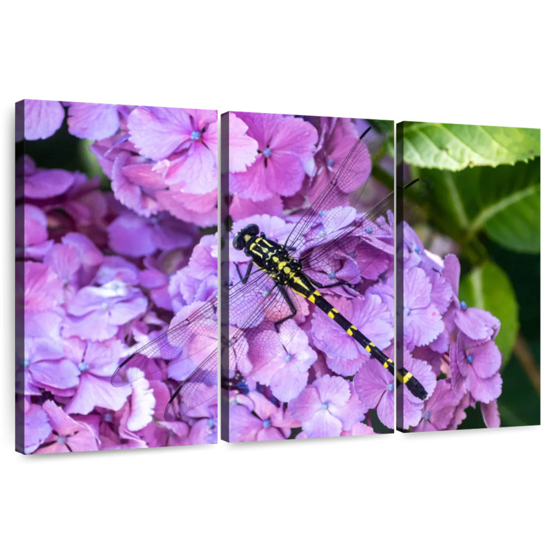Libellule Brampt sur hortensias, H 14 po x l 23 po