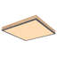 Tejal LED Flush Mount