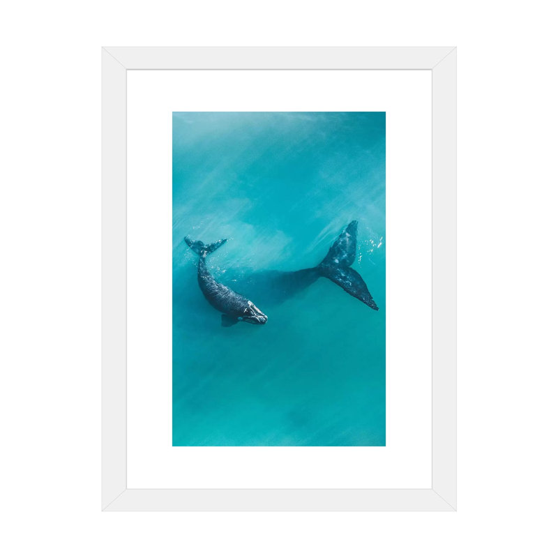 Peaceful Whales II par Jon Wassom - impression d'art graphique, H 24 po x l 16 po x P 1 po, Papier encadré blanc, Blanc