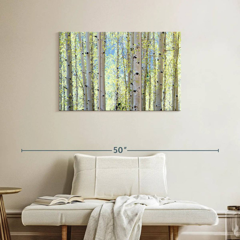Harnek Aspens, H 24 po x l 38 po