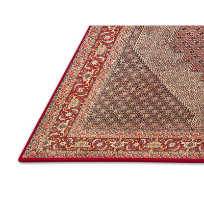 Wool Oriental Indoor Rug