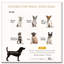 Lit pour chien pour petits chiens avec rangement caché, petit canapé pour chien avec mousse souple de 3 po-333695483