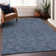 Machine Washable Indoor/Outdoor Chayden ACN1057 Rug