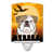 Bouledogue anglais brun / blanc