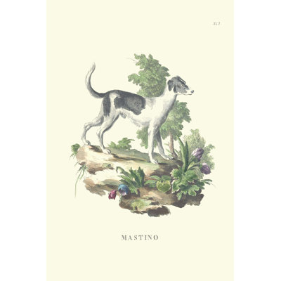 " French Dogs VI "