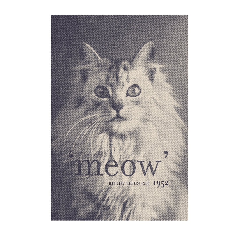 Famous Quotes (Cat) 1 Piece Wall Art on Canvas, 101.6 cm H x 66.04 cm W x 3.175 cm D