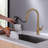 Dilon Pull Down Kitchen Faucet