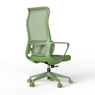 High Back Ergonomic Mesh Office Chair with Adjustable Lumbar Support, Rocking Function, Swivel Task Chair for Home Office, Computer Desk & Study Room