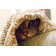 Cat With Pink Nose Peaking Out From Under A Blanket by Lee Peers - Wrapped Canvas Print