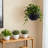 13.4 Inch Self-watering Hanging Rattan-inspired Planter Large Capacity, Root-rot Resistant Water Storage With Water Level Indicator, Dual-use For Indoor & Balcony Decoration Pack Of 2-2135272477