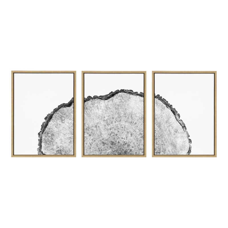 «Tree Rings Set» par Emiko et Mark Franzen, ensemble de 2 toiles encadrées, Naturel