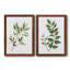«Winter Botanical I», ensemble de 2 reproductions d'art-521697066-521697243-521697265