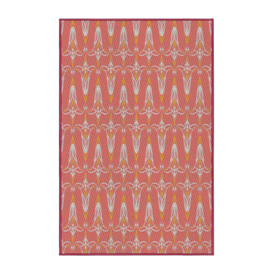 Indoor Rug
