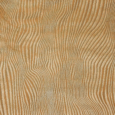 Tissu en velours coupé Schumacher x Patterson Flynn Gunta