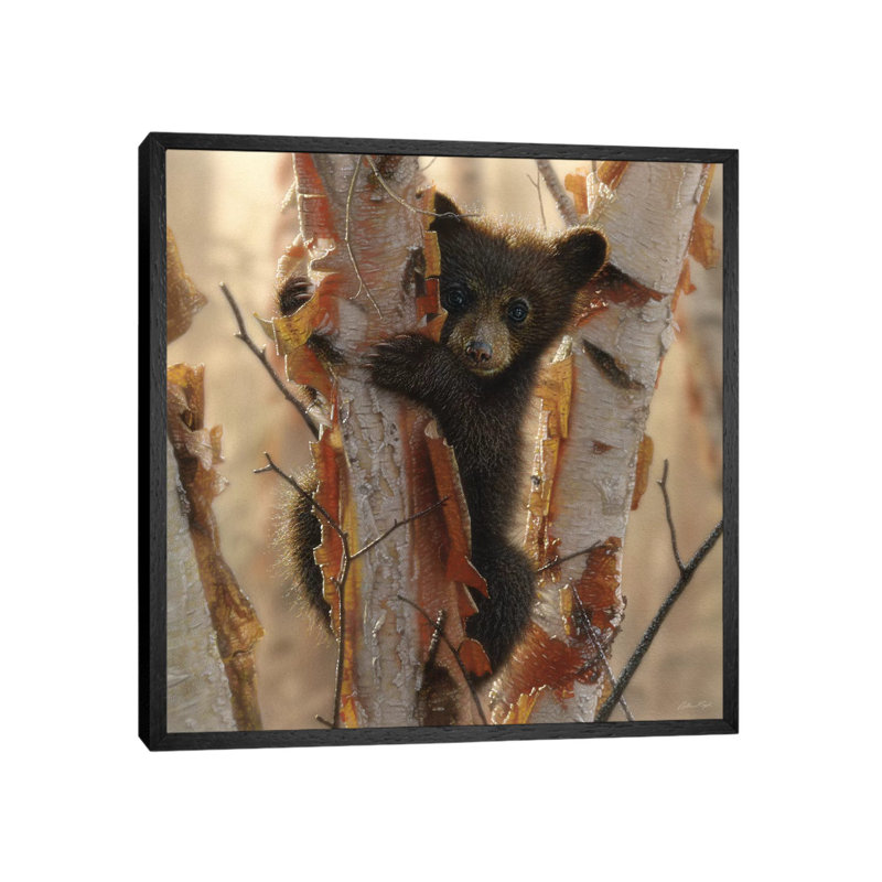 Bear Cub II - Painting on Canvas, Black Floater Framed, 93.98 cm H x 93.98 cm W