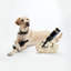Porte-bouteille Playful Pup