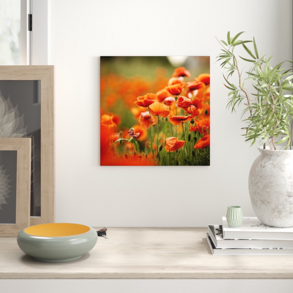 Glasbild Orange Poppies I, Fotodruck