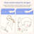 Portable Hand Held Bidet