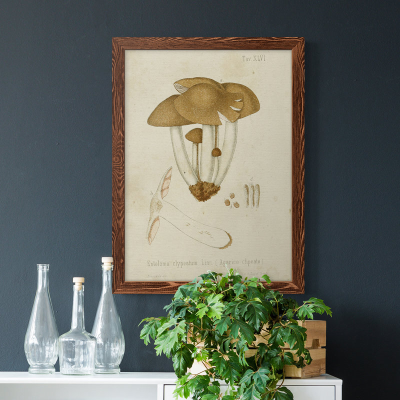 Mushroom Variétés V - reproduction d'art sur toile, Cadre en érable