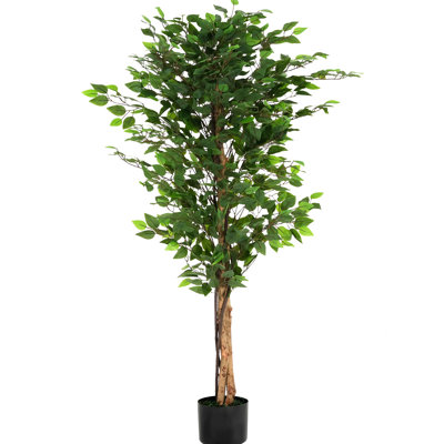 Arbre artificiel de 63 pouces avec pot, Simulation réaliste et caractéristique pré-empotée, Peu d'entretien, Verdure intérieure personnalisable, Assemblage inclus