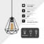 Kumari 1-Light Geometric Pendant – Industrial Cage Ceiling Light in Matte Black by Borough Wharf-584143136