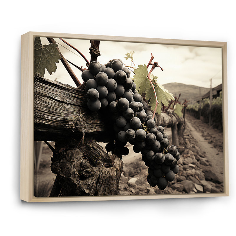 Vintage Charm Winery - vignoble, art mural, H 24 po x l 32 po x P 1 po, Cadre naturel flottant