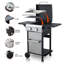 Barbecue au propane à 2 brûleurs, SS Plancha, puissance de 24 600 BTU avec grilles de cuisson en émail pour barbecue, table d'appoint pliable, panier suspendu, acier inoxydable
