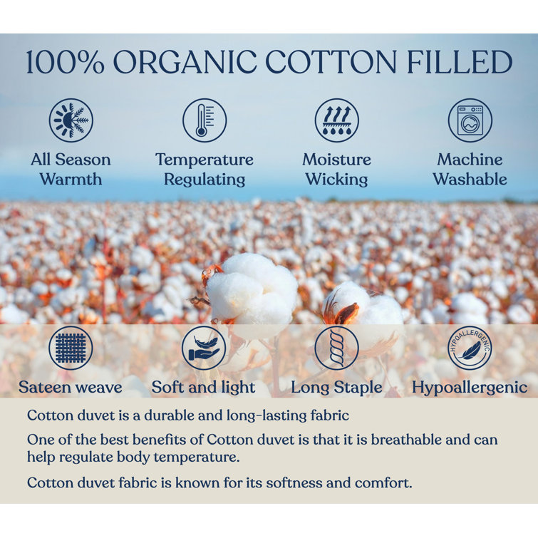 Delara Cotton Air Duvet Insert Light Weight Organic Cotton Cover & Cotton  Fill & Reviews